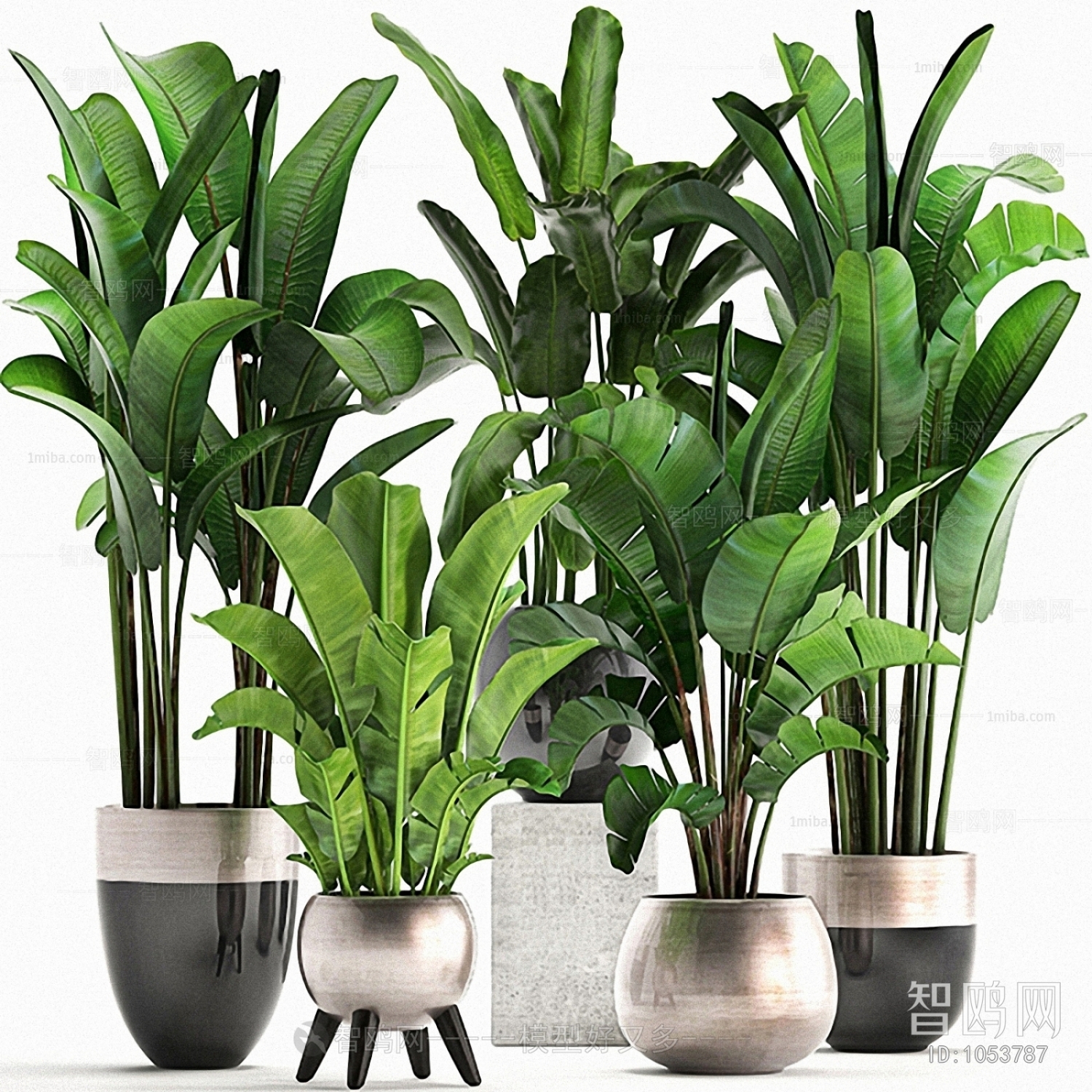 Modern Potted Green Plant