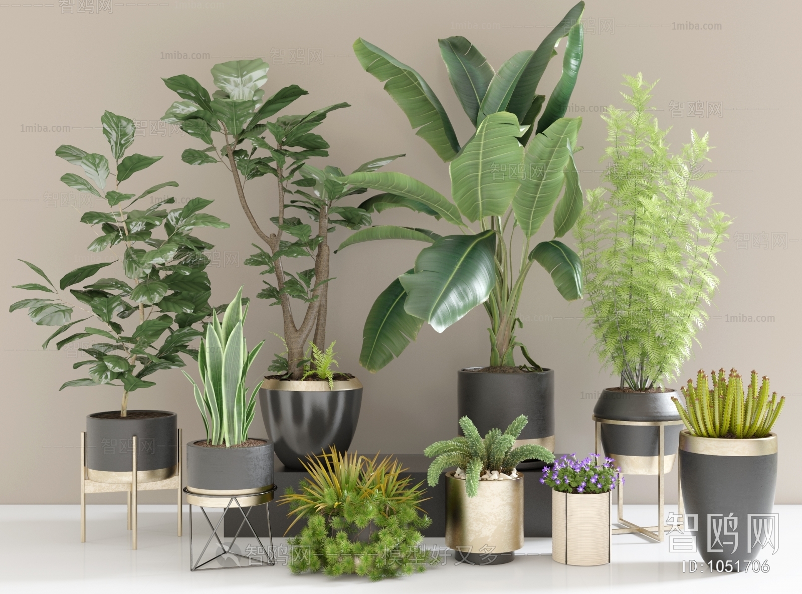 Modern Potted Green Plant