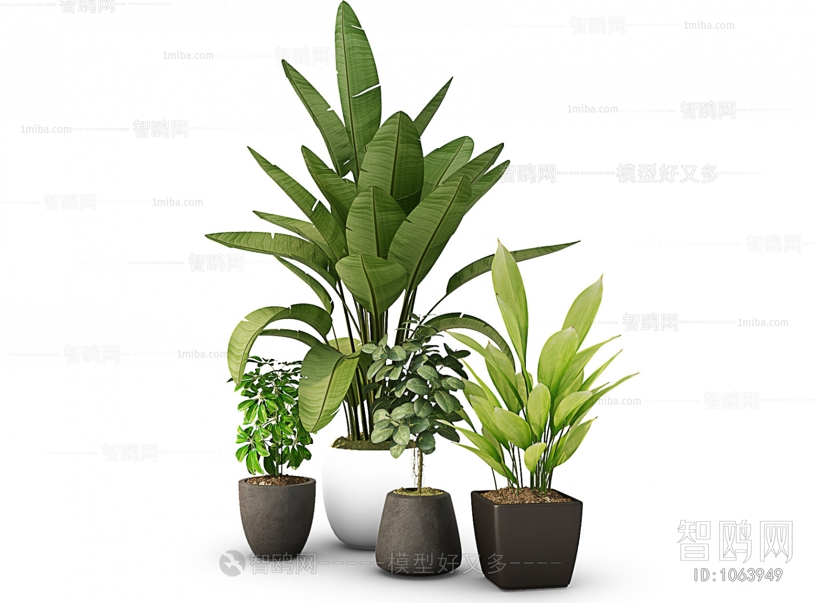 Modern Potted Green Plant