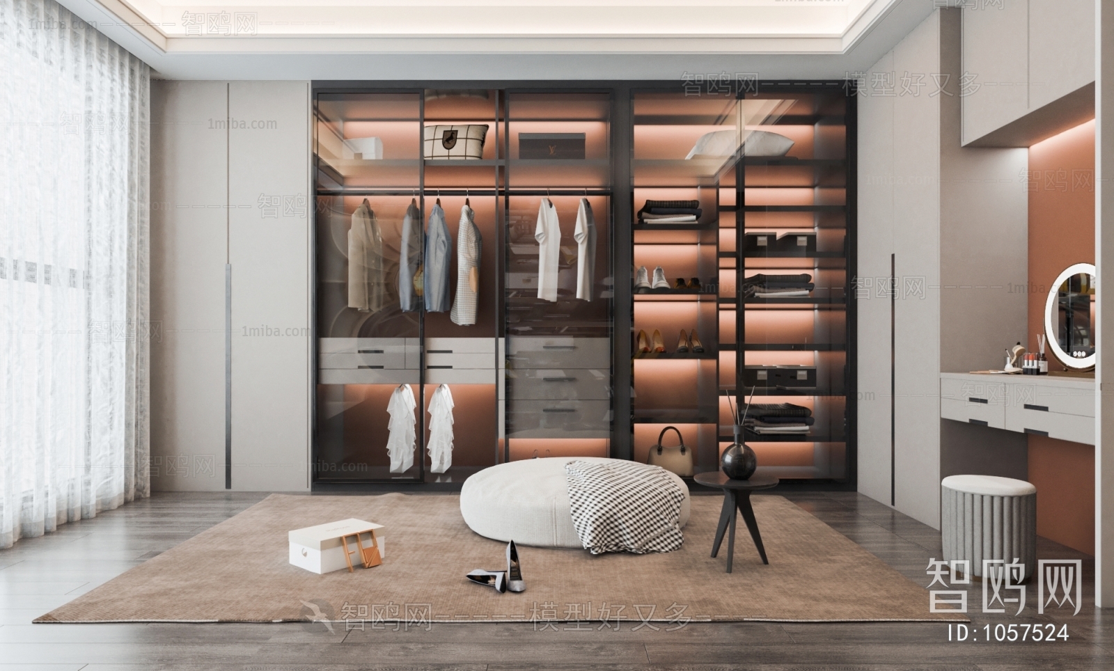 Modern Clothes Storage Area