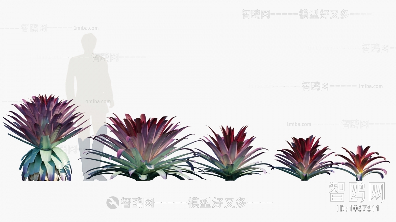 Modern Tree/shrub/grass