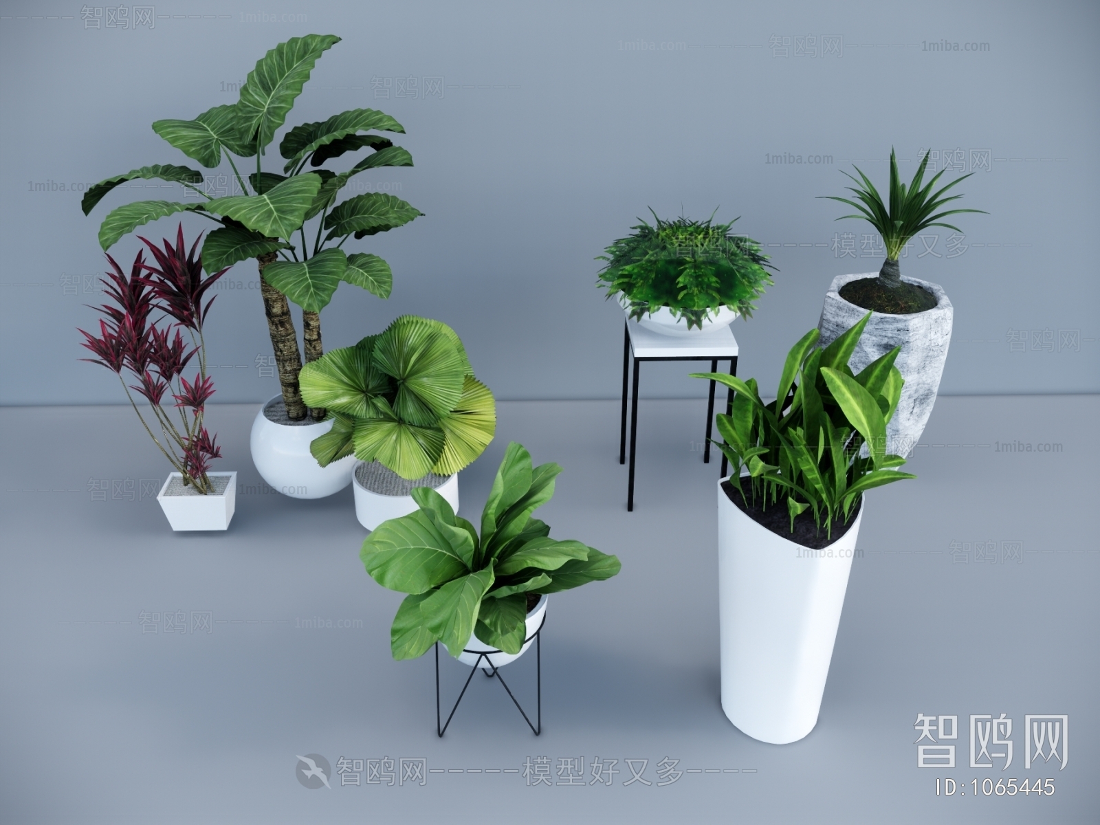 Modern Potted Green Plant