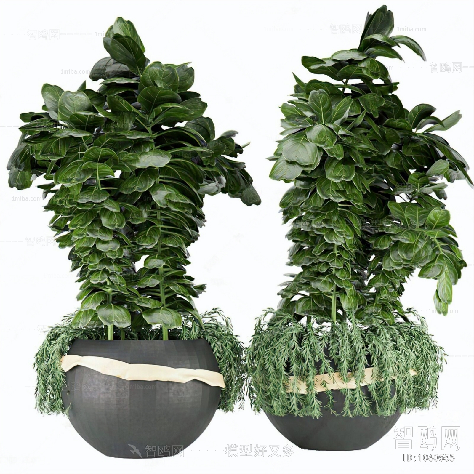 Modern Potted Green Plant