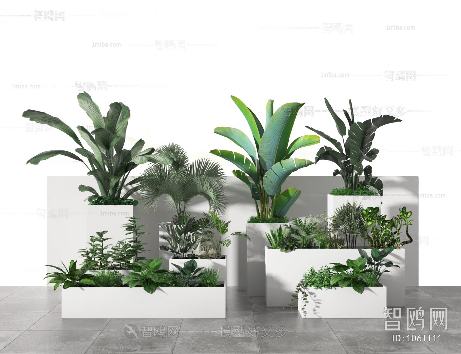 Modern Potted Green Plant