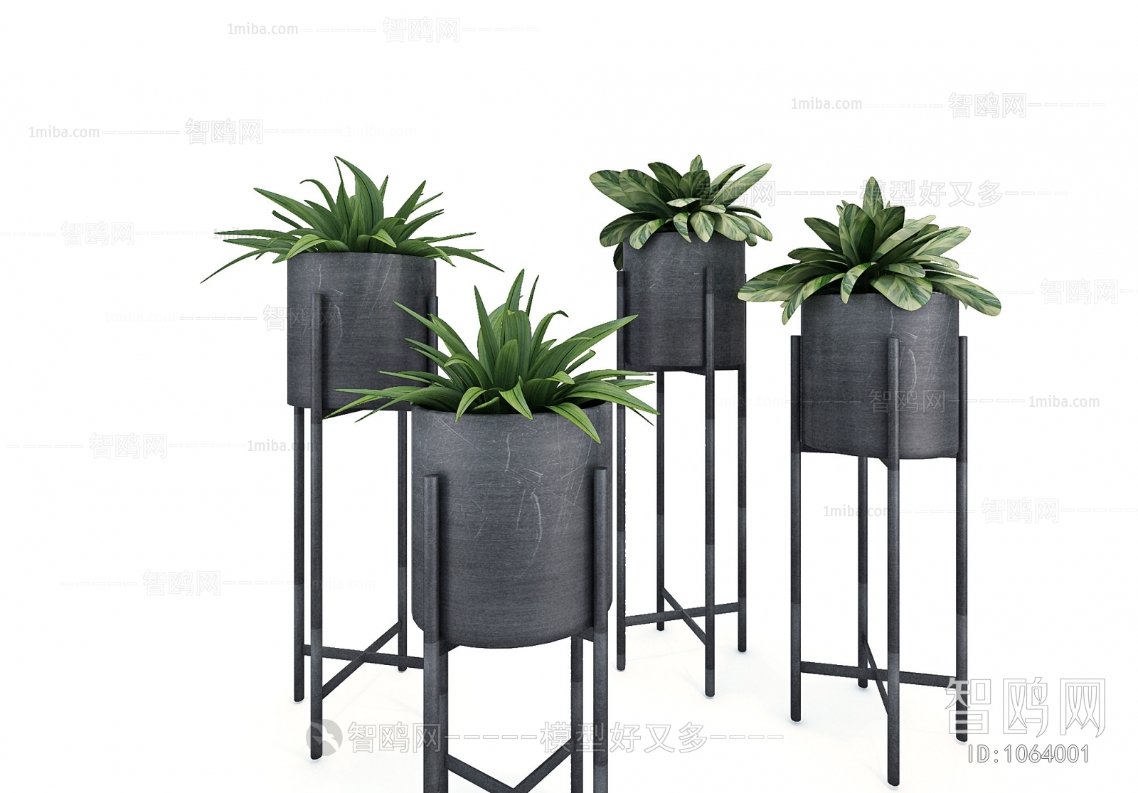 Modern Potted Green Plant