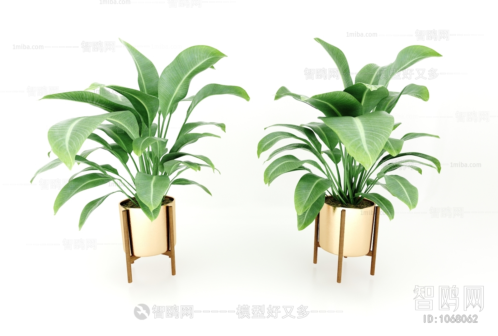 Modern Potted Green Plant