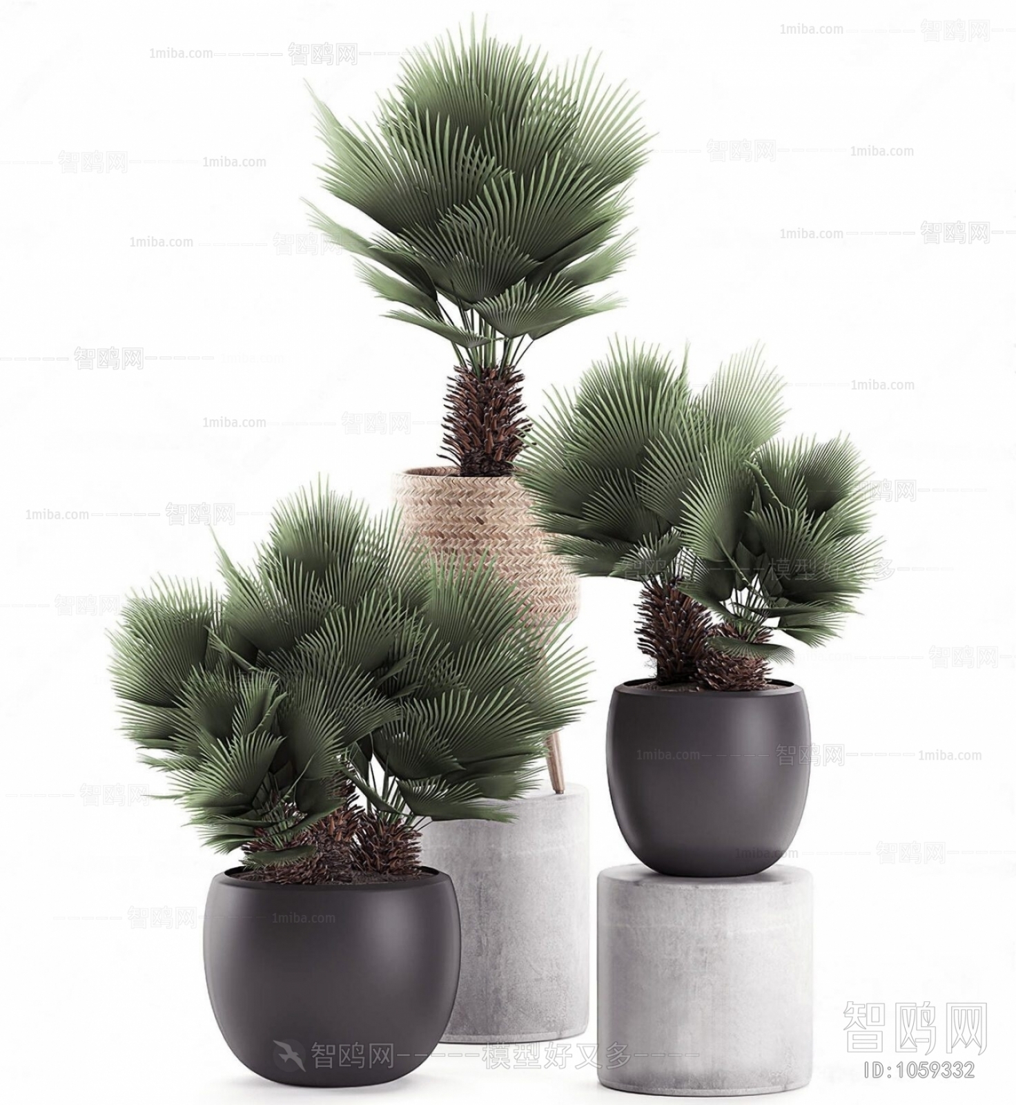 Modern Potted Green Plant