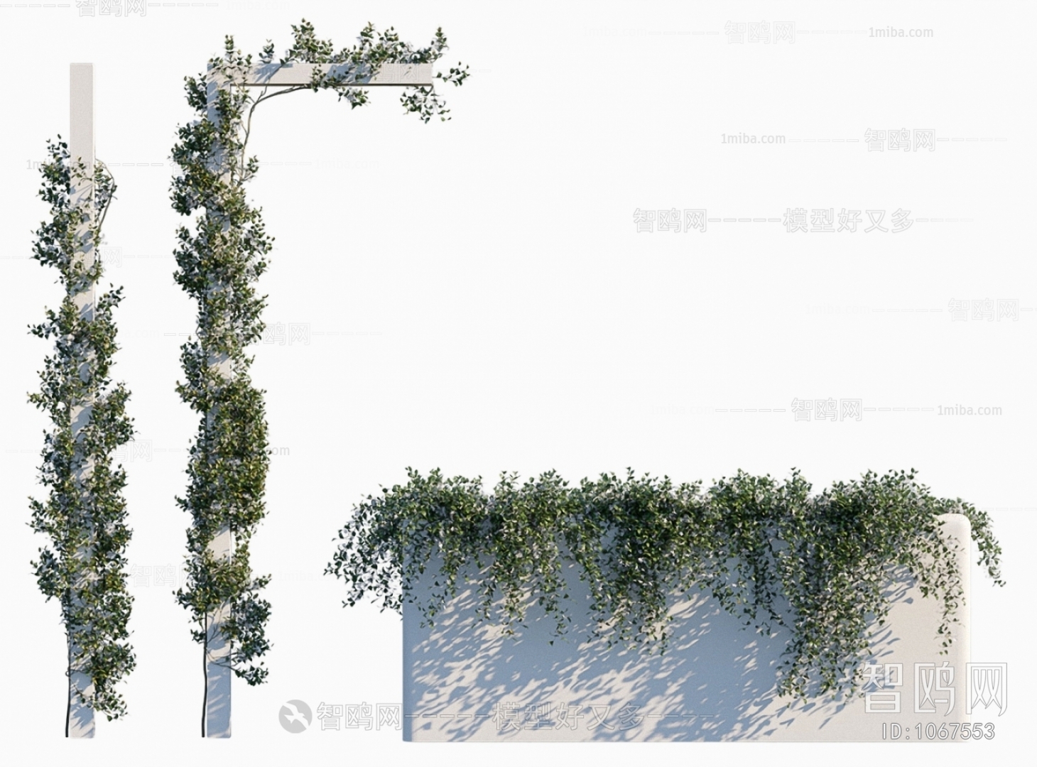 现代绿植縢蔓络石藤 植物墙