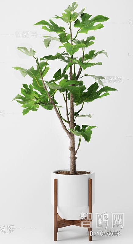 Modern Potted Green Plant