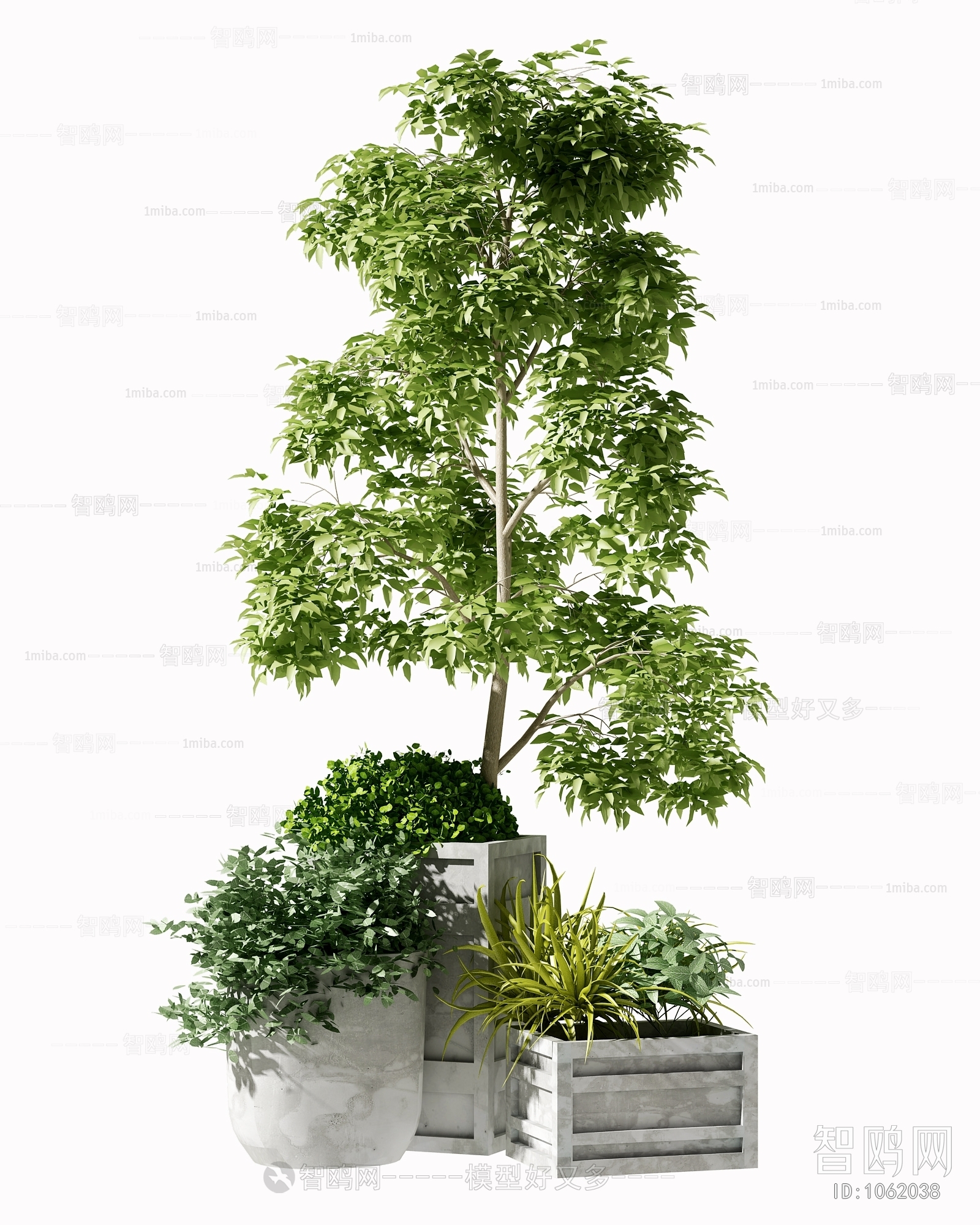 Modern Potted Green Plant