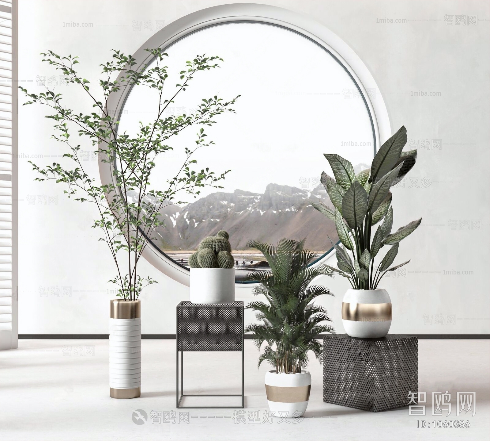 Modern Potted Green Plant