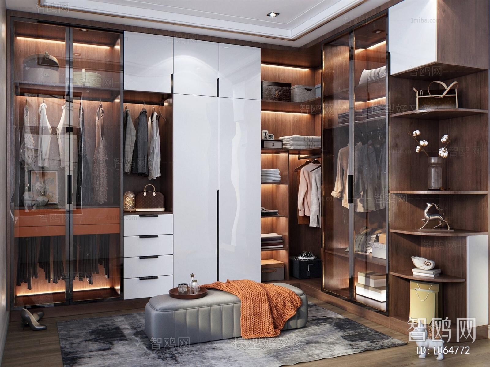 Modern Clothes Storage Area