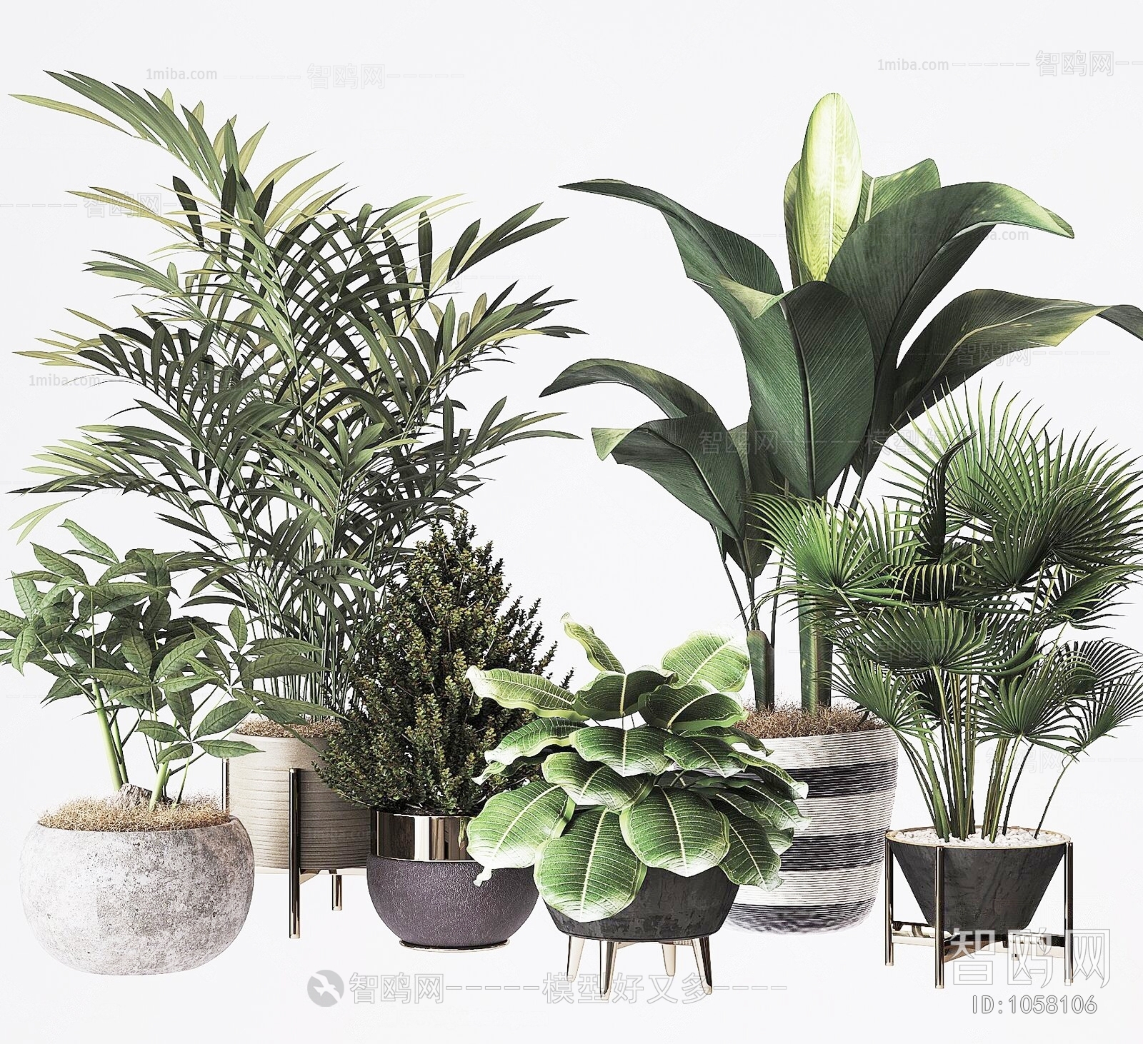 Modern Potted Green Plant