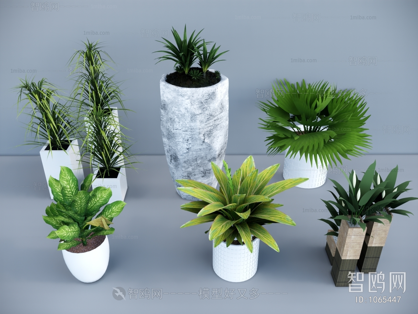 Modern Potted Green Plant