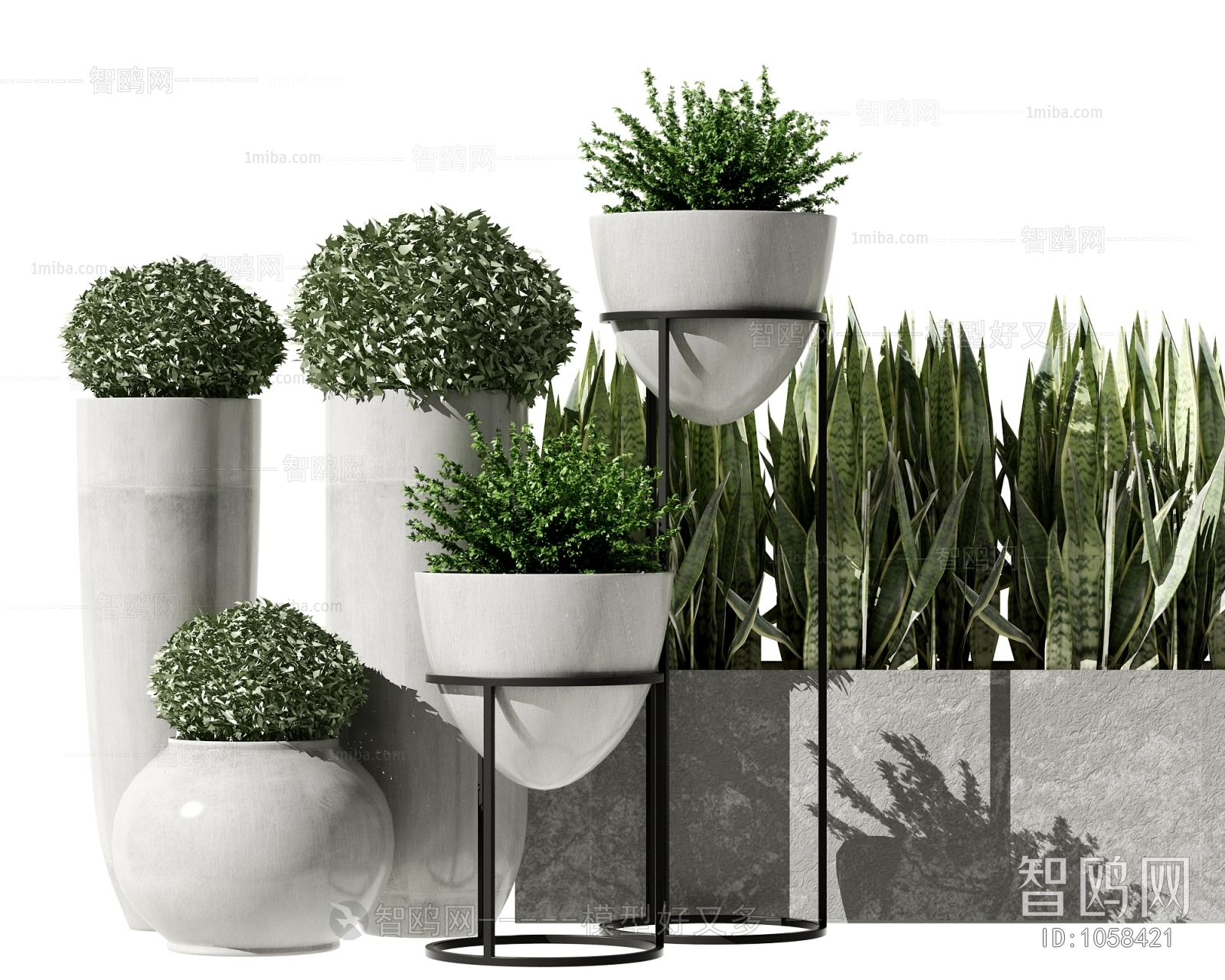 Modern Potted Green Plant