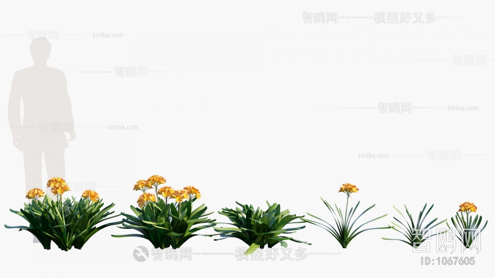 Modern Flowers And Grass