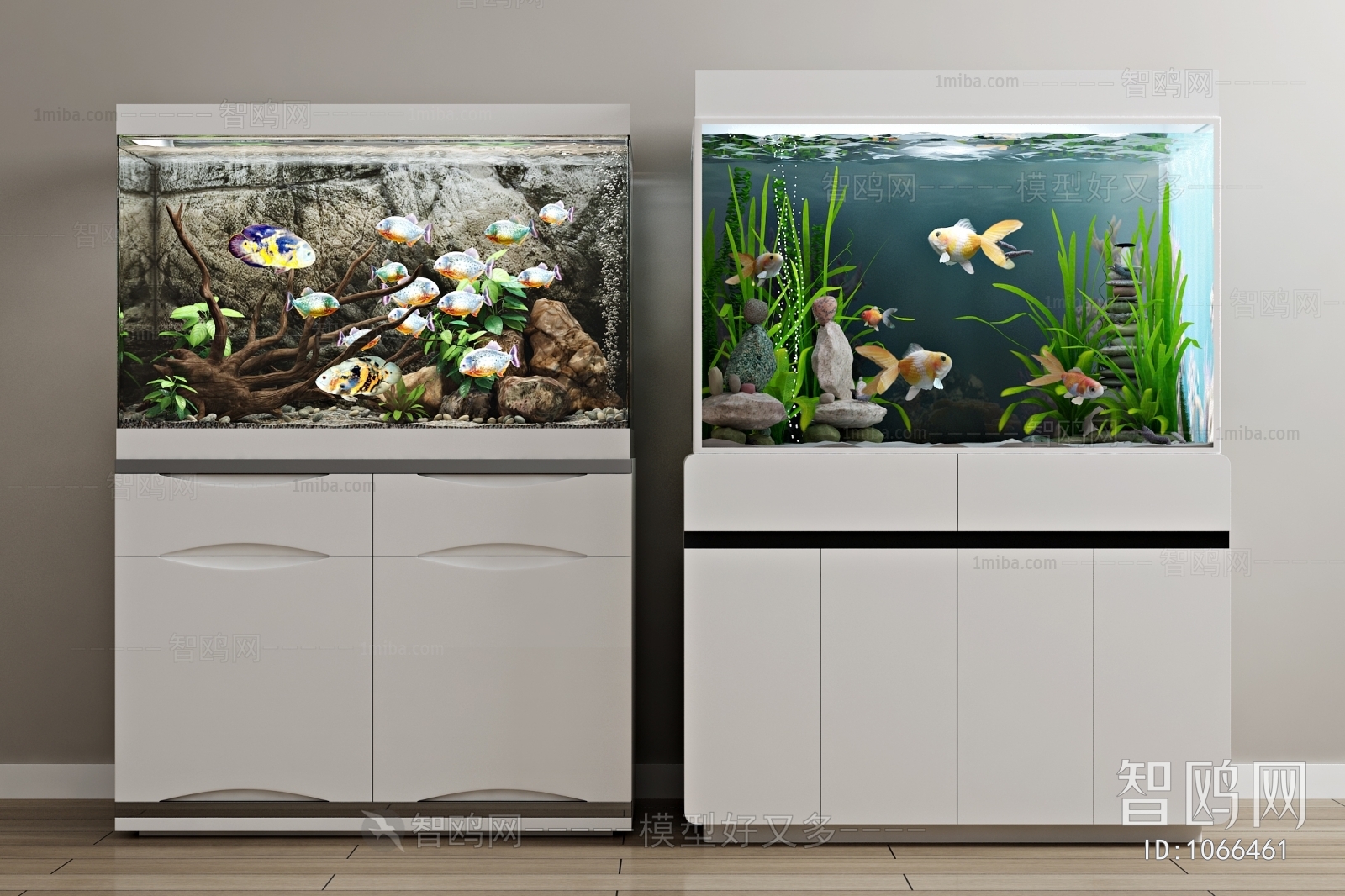 Modern Fish Tank