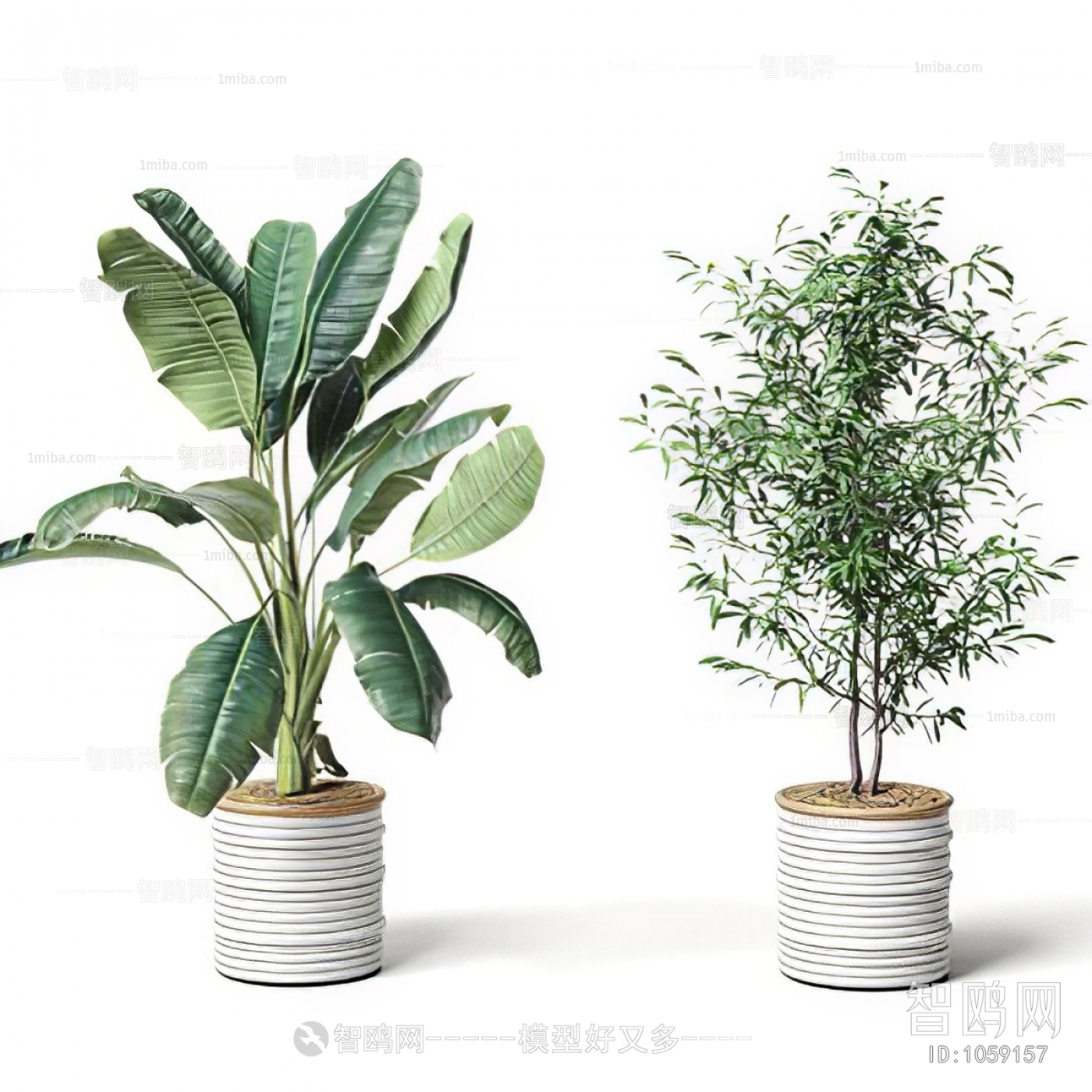 Modern Potted Green Plant