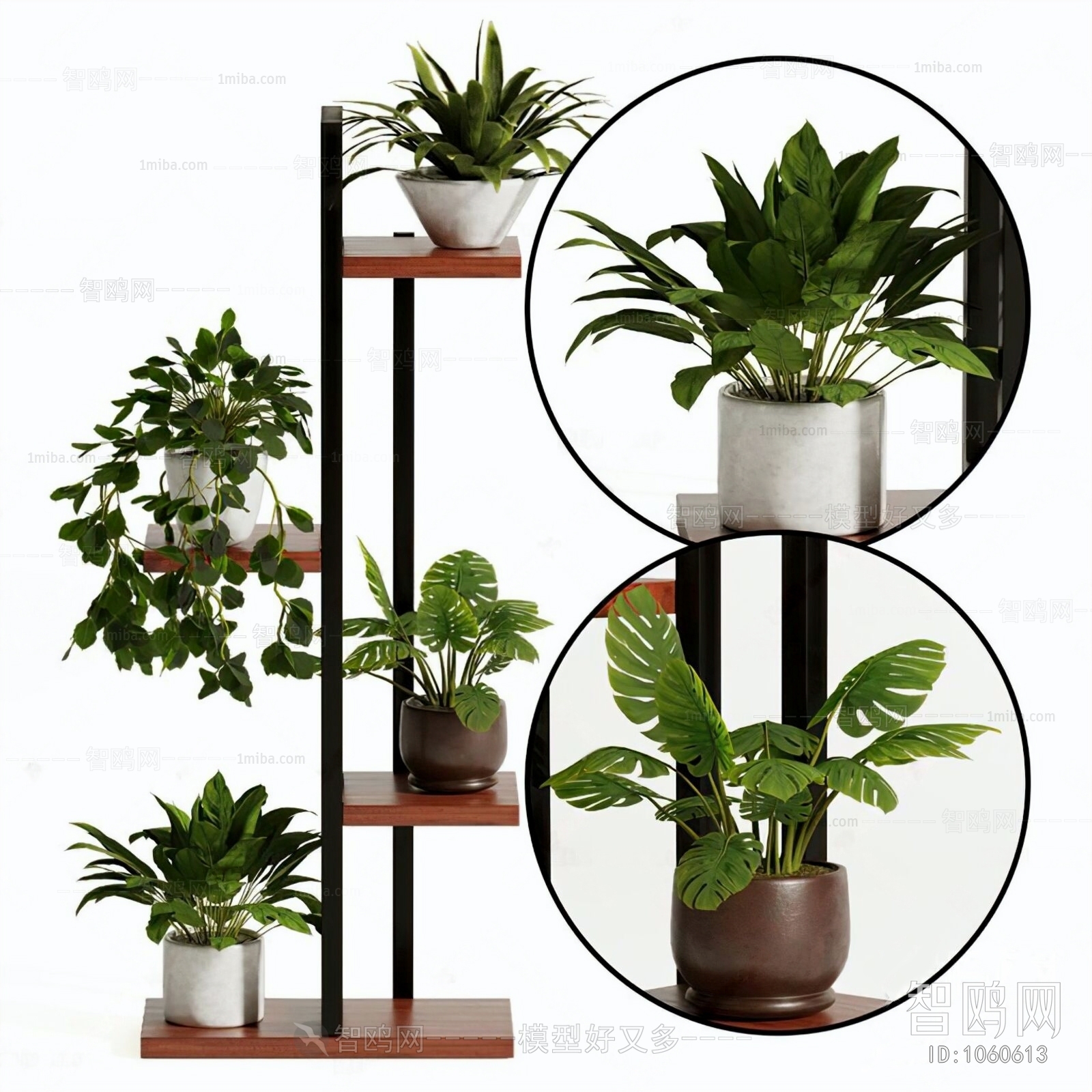 Modern Potted Green Plant