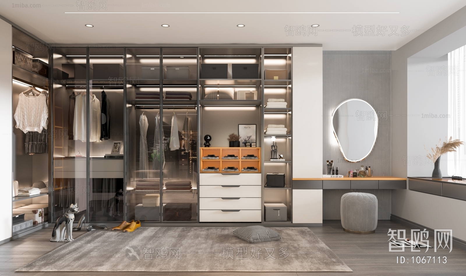 Modern Clothes Storage Area