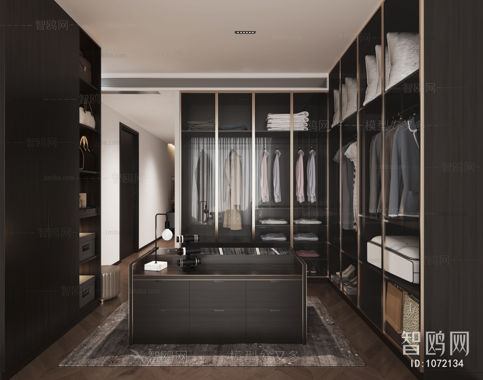 Modern Clothes Storage Area