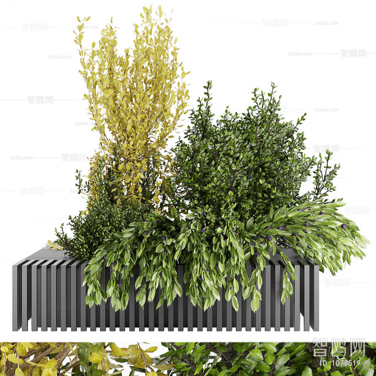 Modern Shrubbery