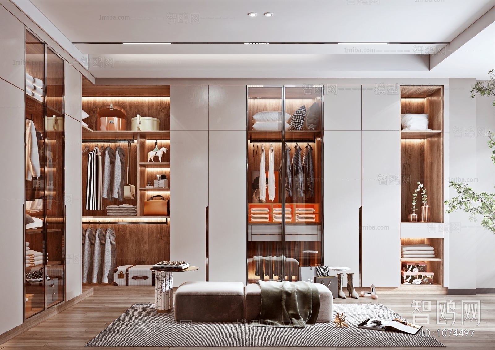 Modern Clothes Storage Area