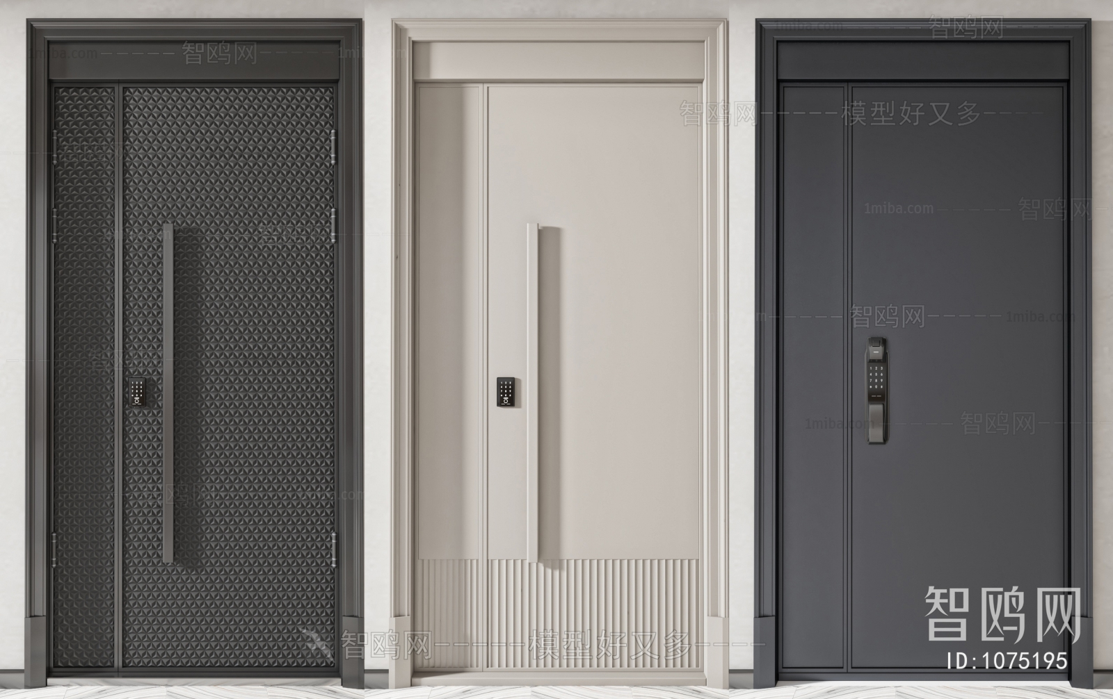 Modern Entrance Door