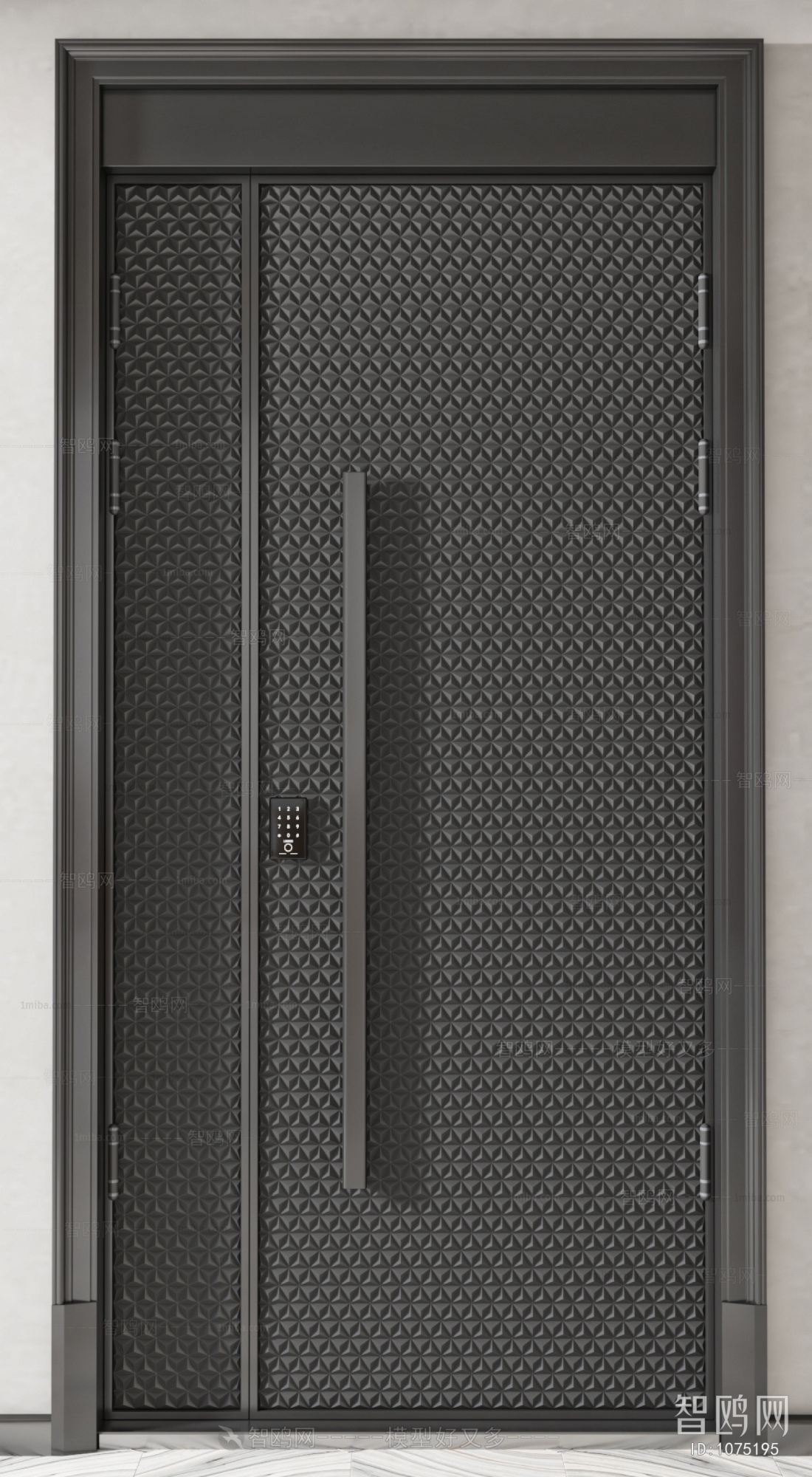 Modern Entrance Door