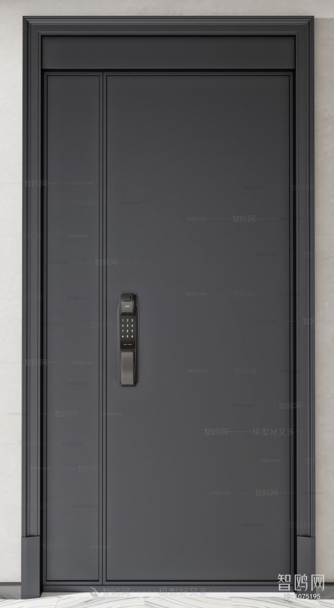 Modern Entrance Door