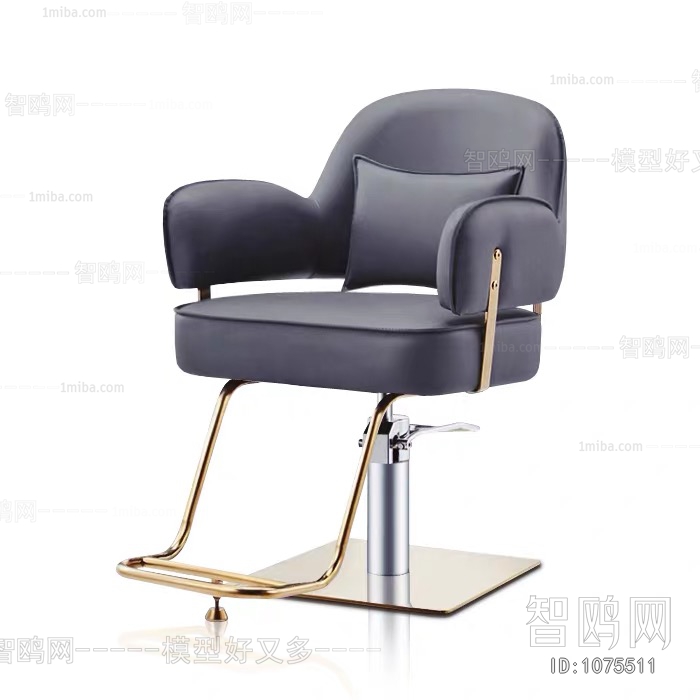 Modern Barber Chair