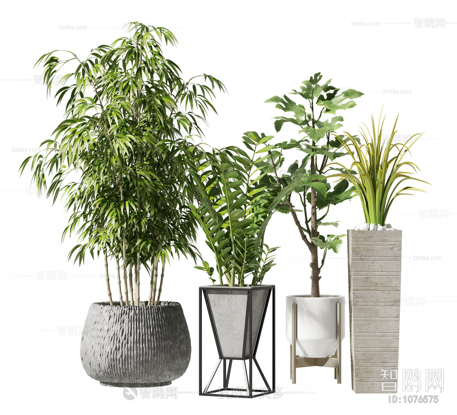 Modern Potted Green Plant