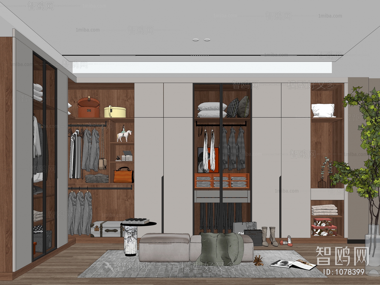 Modern Clothes Storage Area