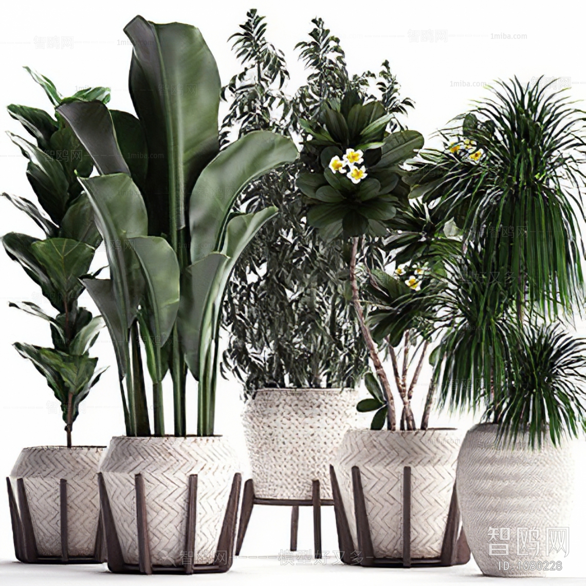 Modern Potted Green Plant