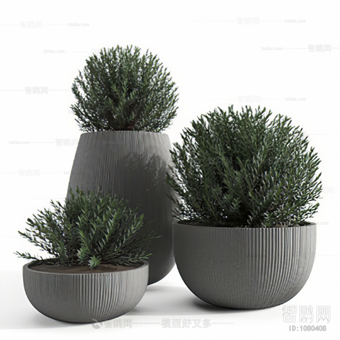 Modern Shrubbery