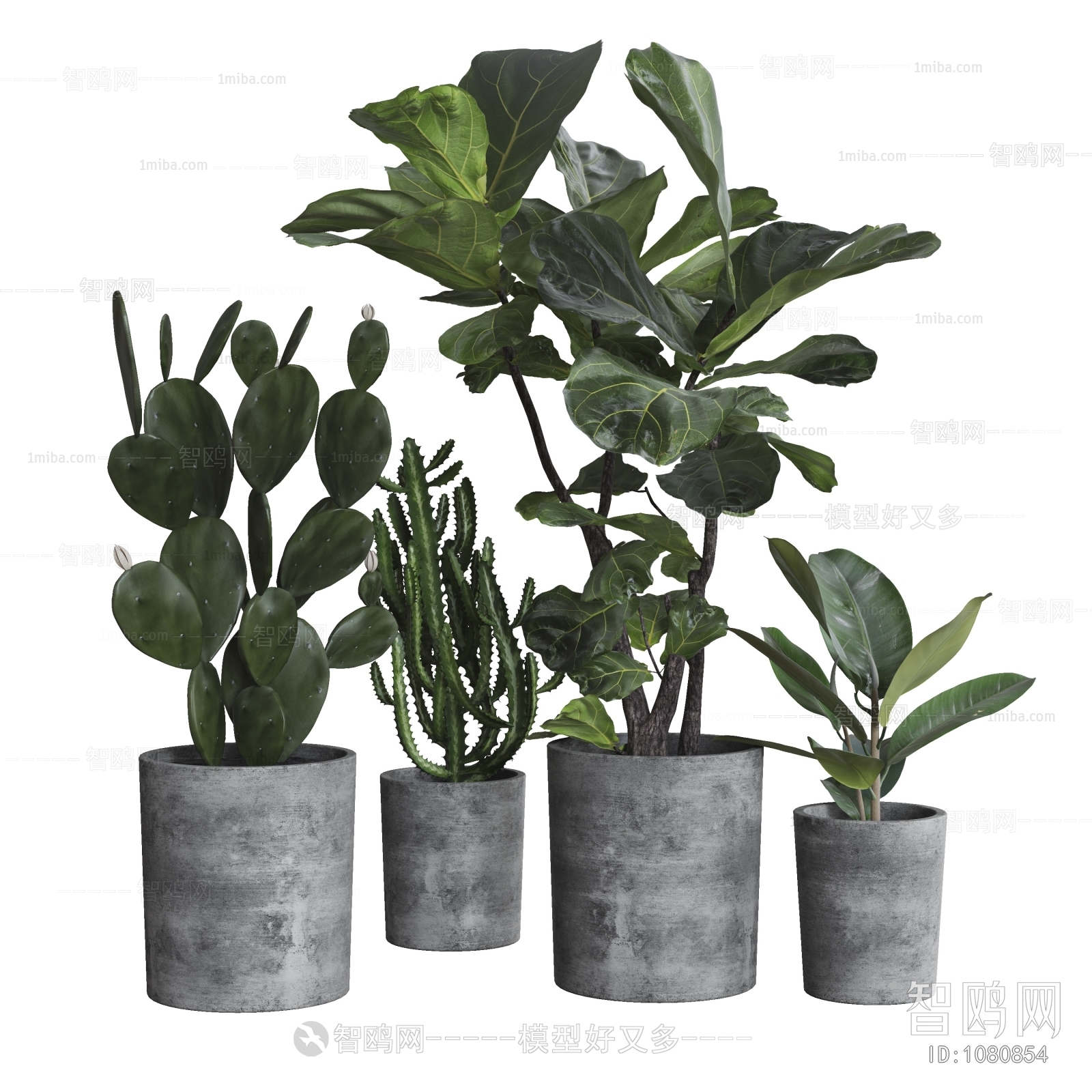 Modern Potted Green Plant