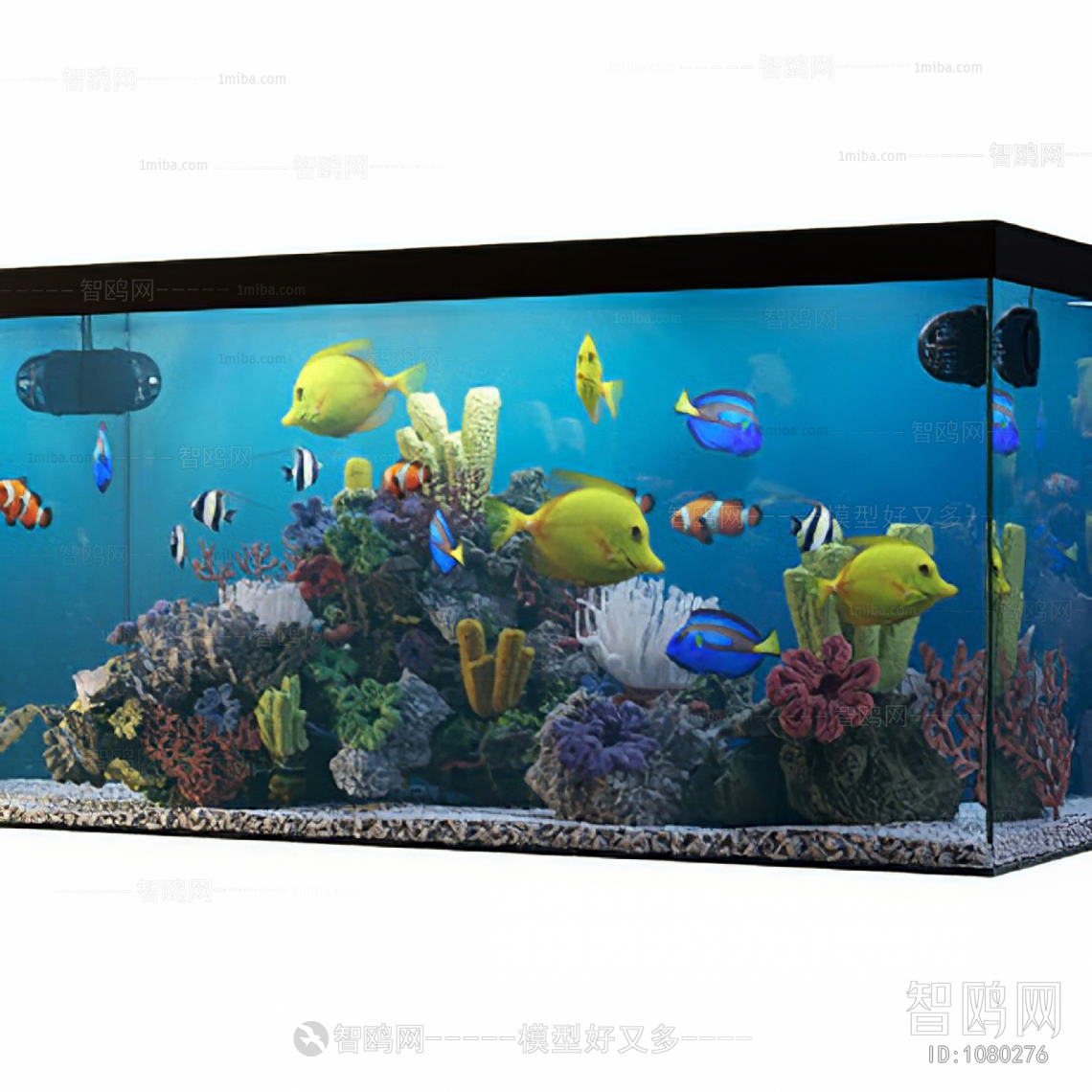 Modern Fish Tank