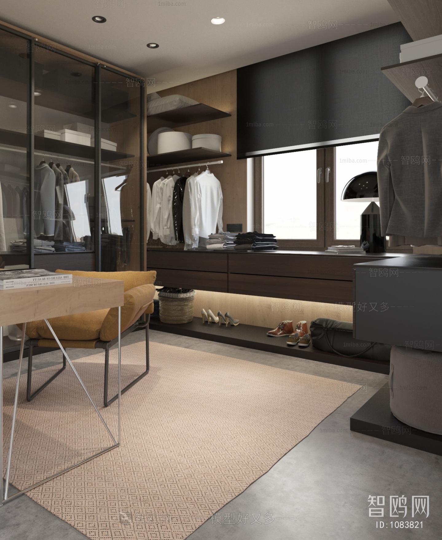 Modern Clothes Storage Area