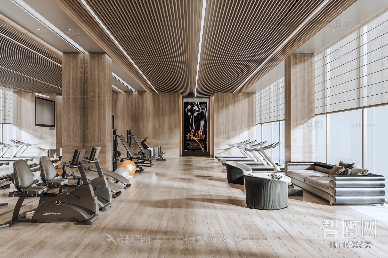 Modern Gym