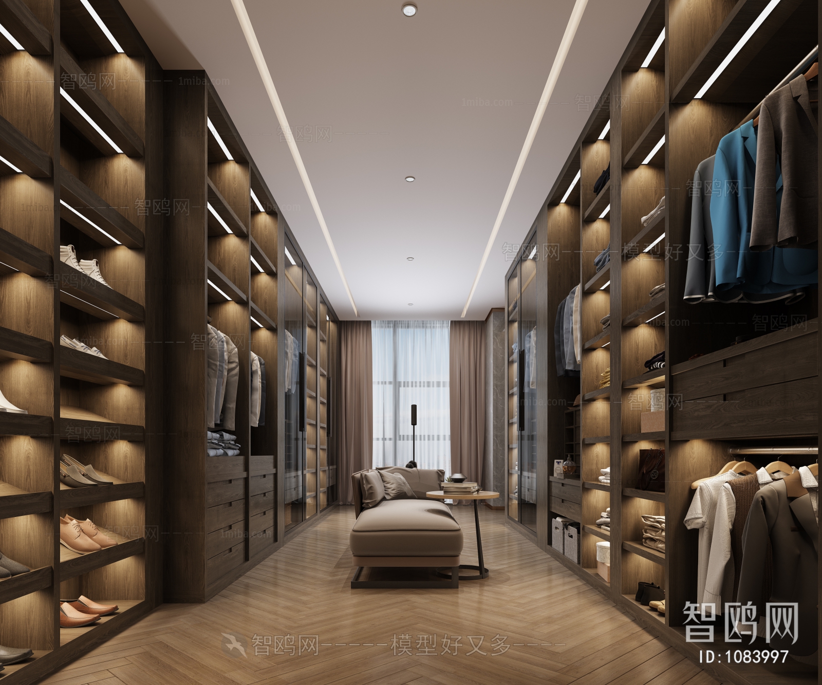 Modern Clothes Storage Area