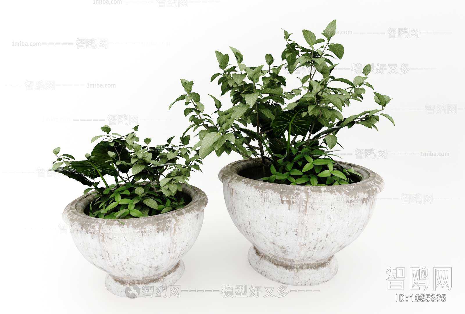 Modern Potted Green Plant