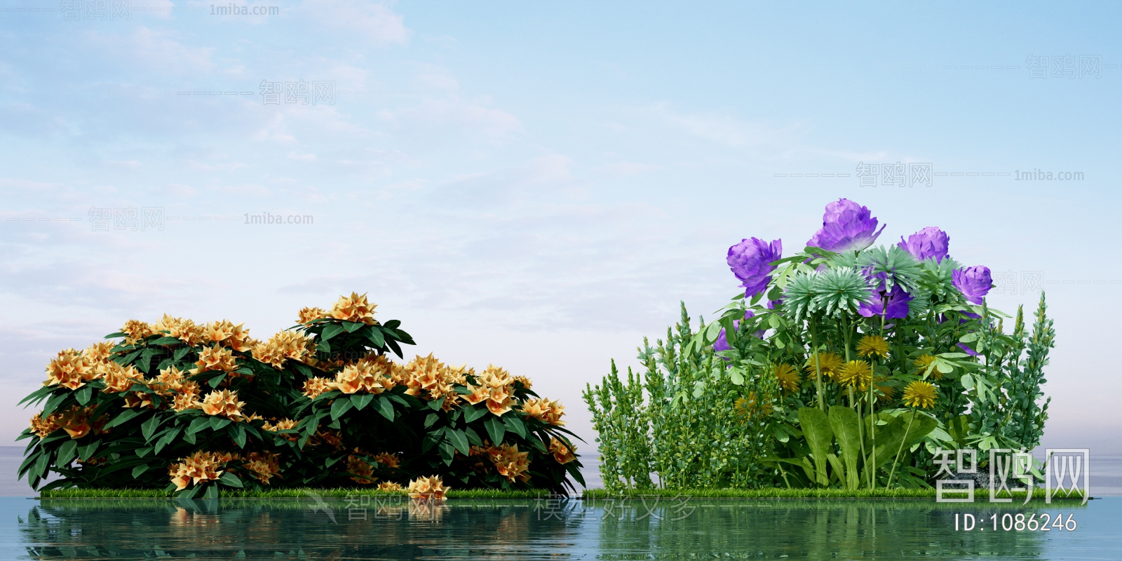 Modern Flowers And Grass