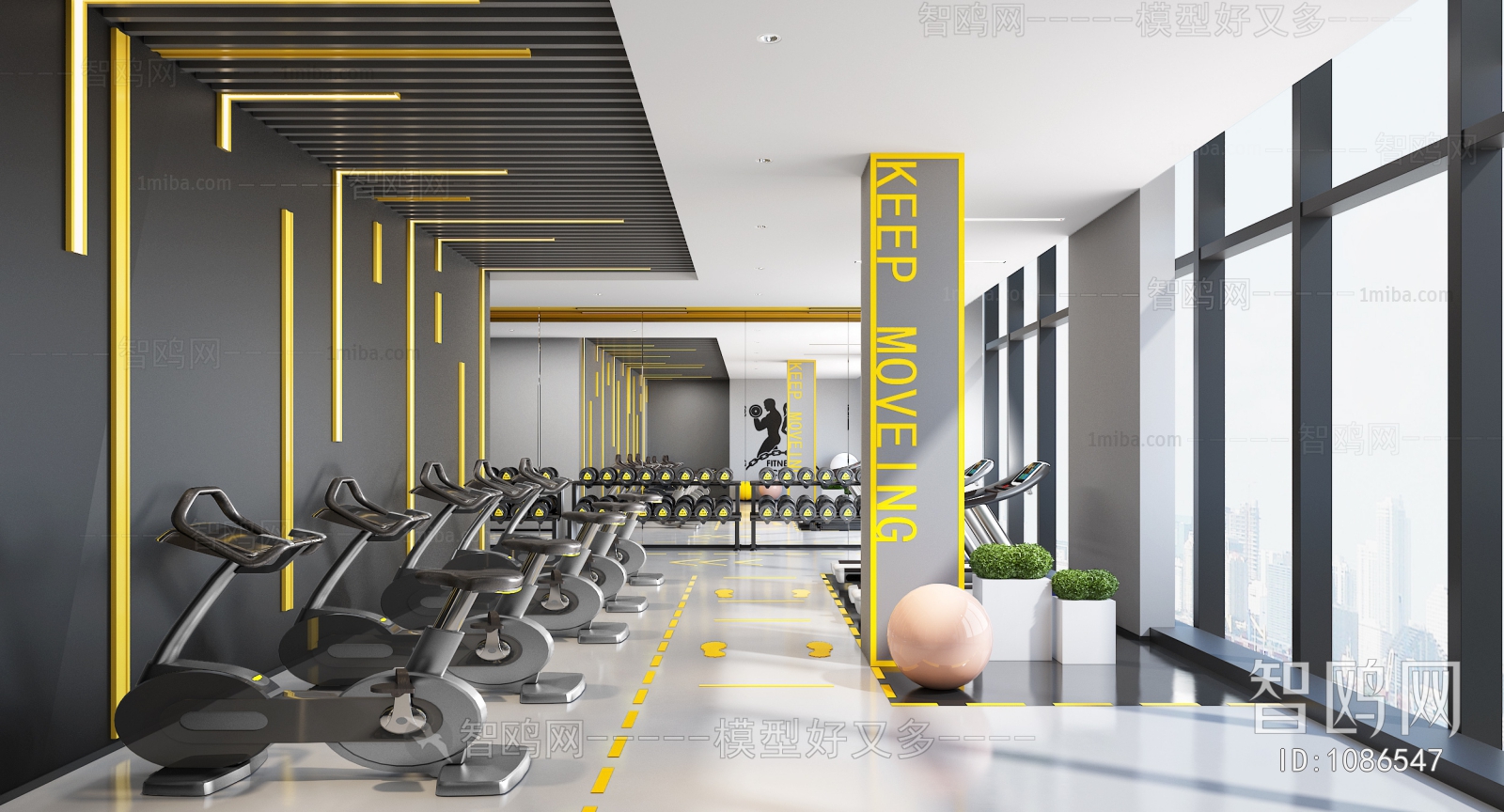 Modern Gym