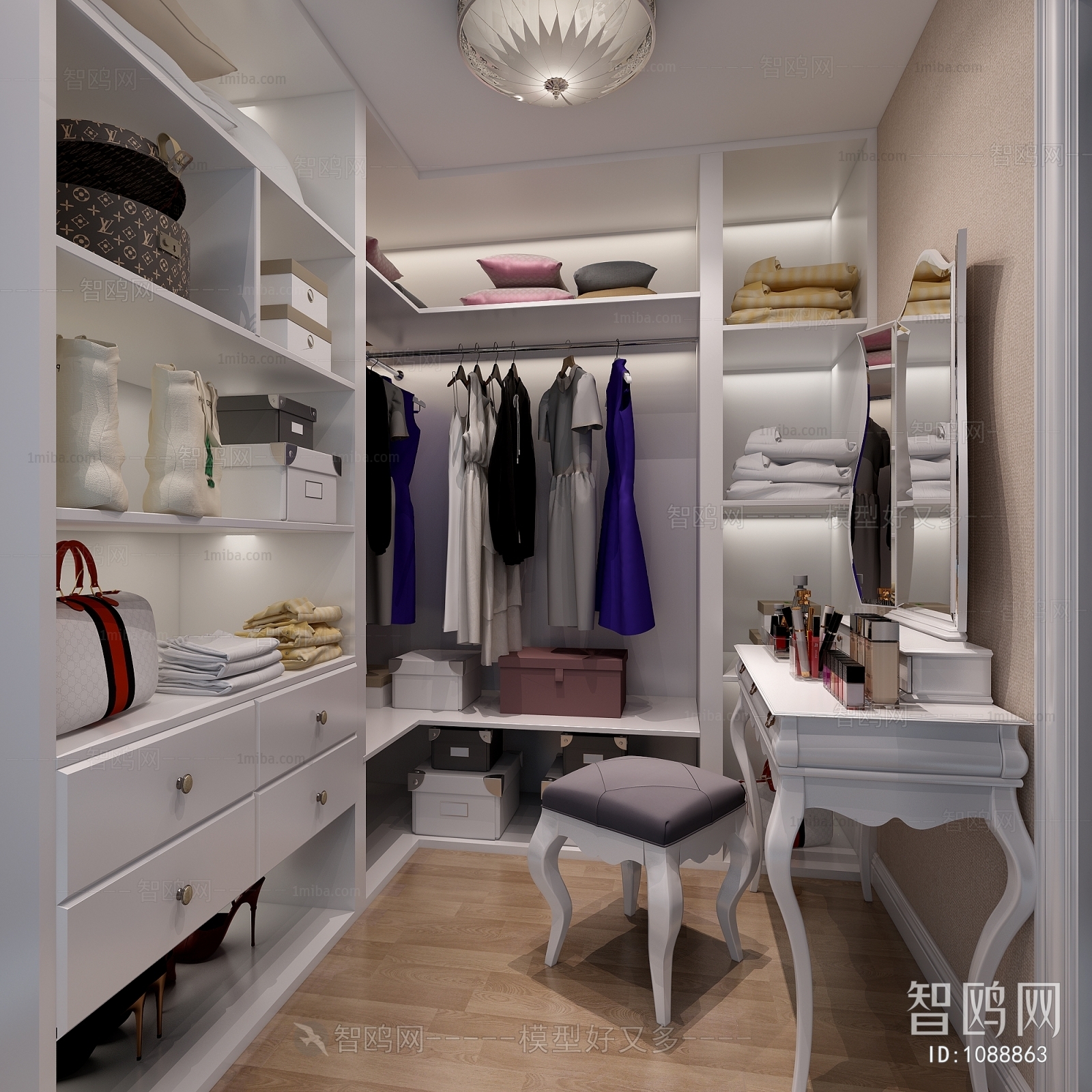 European Style Clothes Storage Area