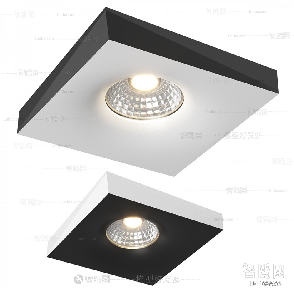 Modern Downlight Spot Light