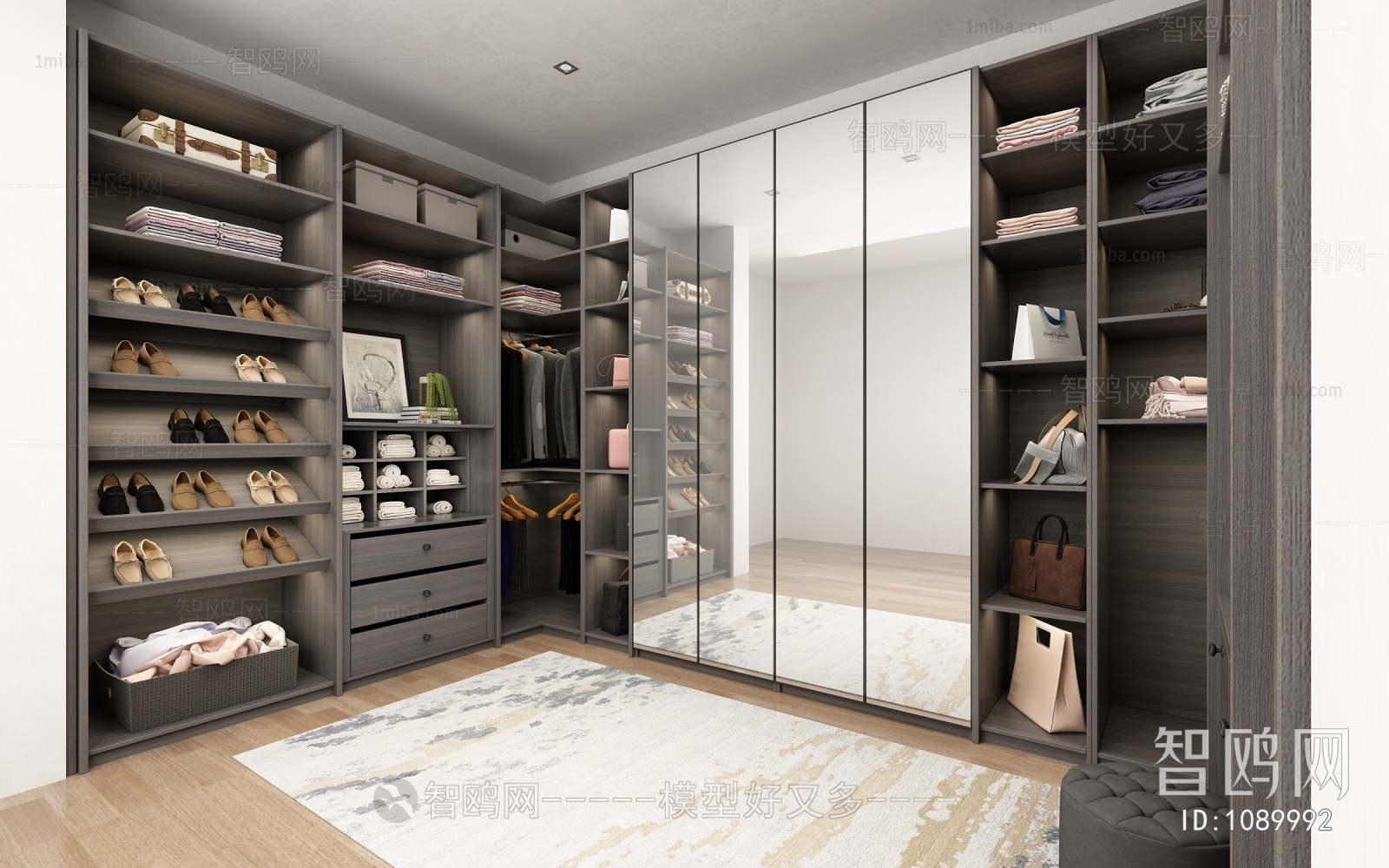 Modern Clothes Storage Area