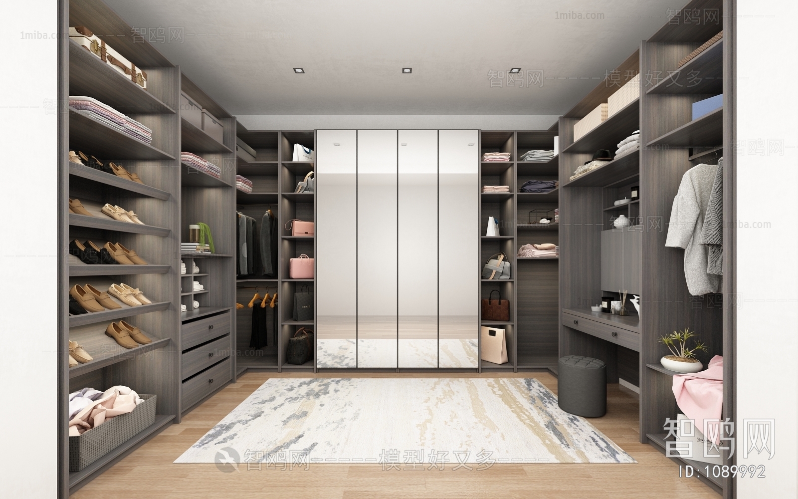 Modern Clothes Storage Area