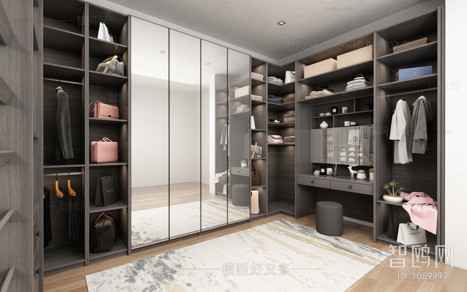 Modern Clothes Storage Area