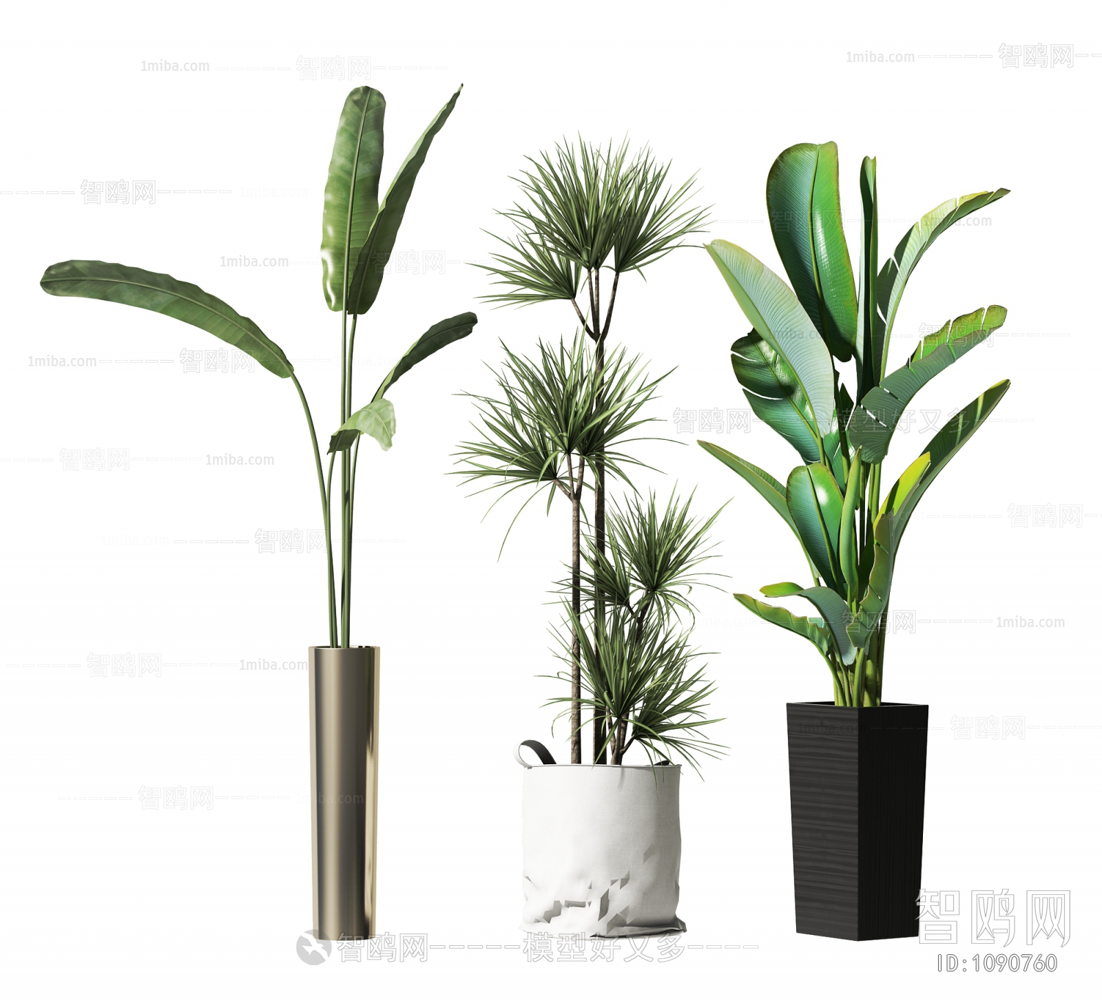 Modern Potted Green Plant