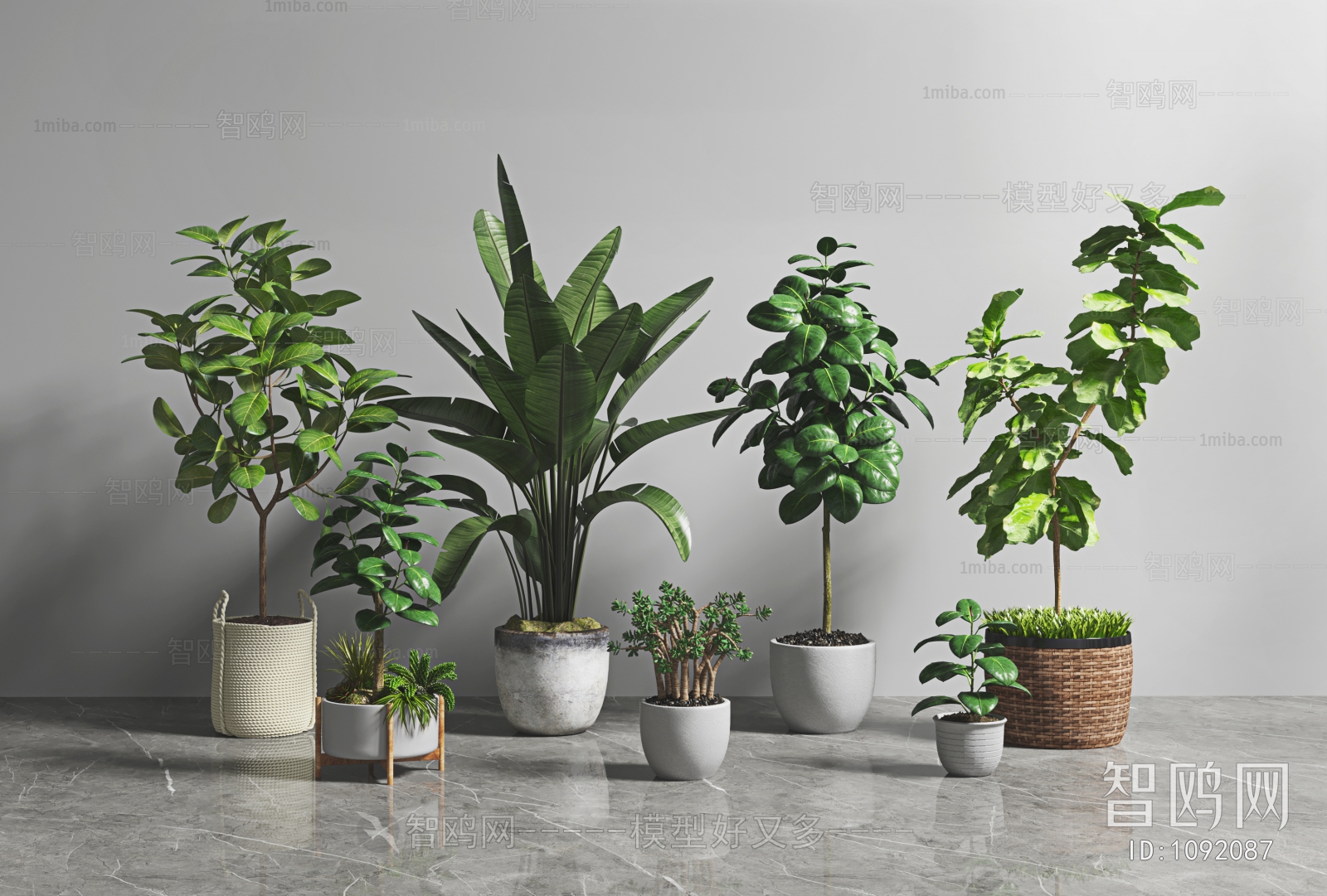 Modern Potted Green Plant